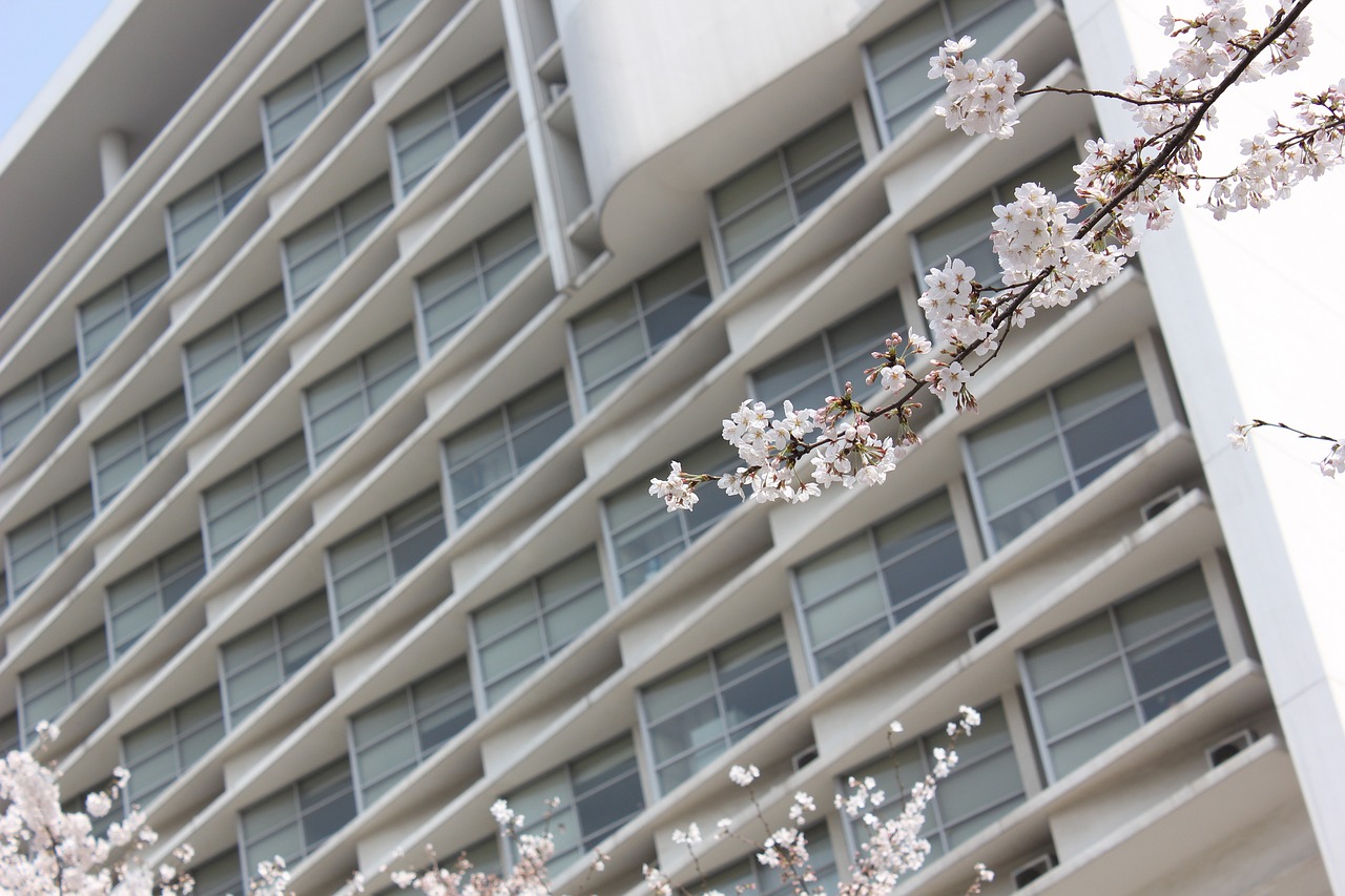 揭秘学术圣殿，走进同济大学，探索中国建筑的瑰宝