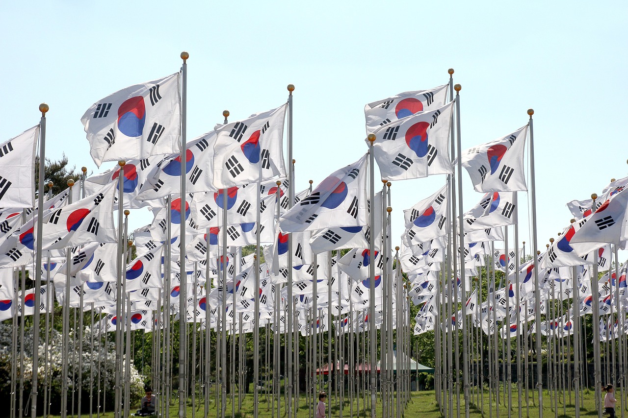 韩国政府每周进口200吨中国大白菜，背景、影响与展望