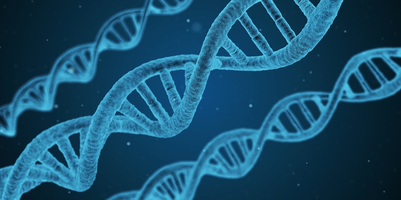 深泽县疫情现状，科学防控，共筑健康防线