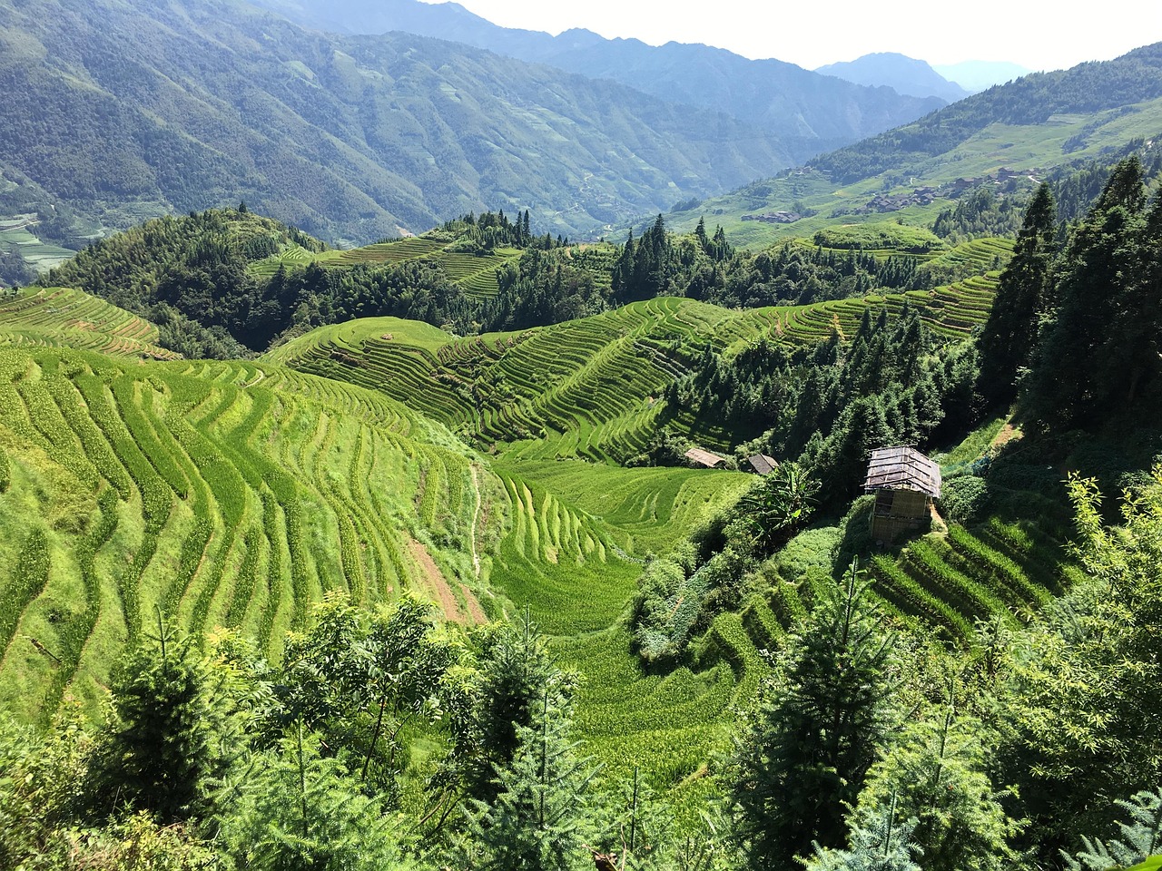 武夷山，探索中国东南的自然与文化瑰宝