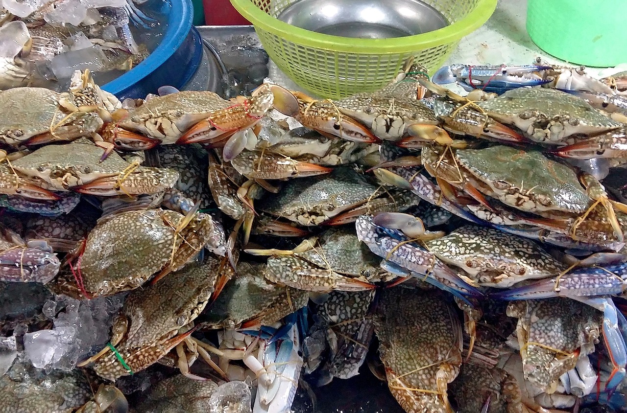 探索上海南京路美食广场，美食天堂的精确指南