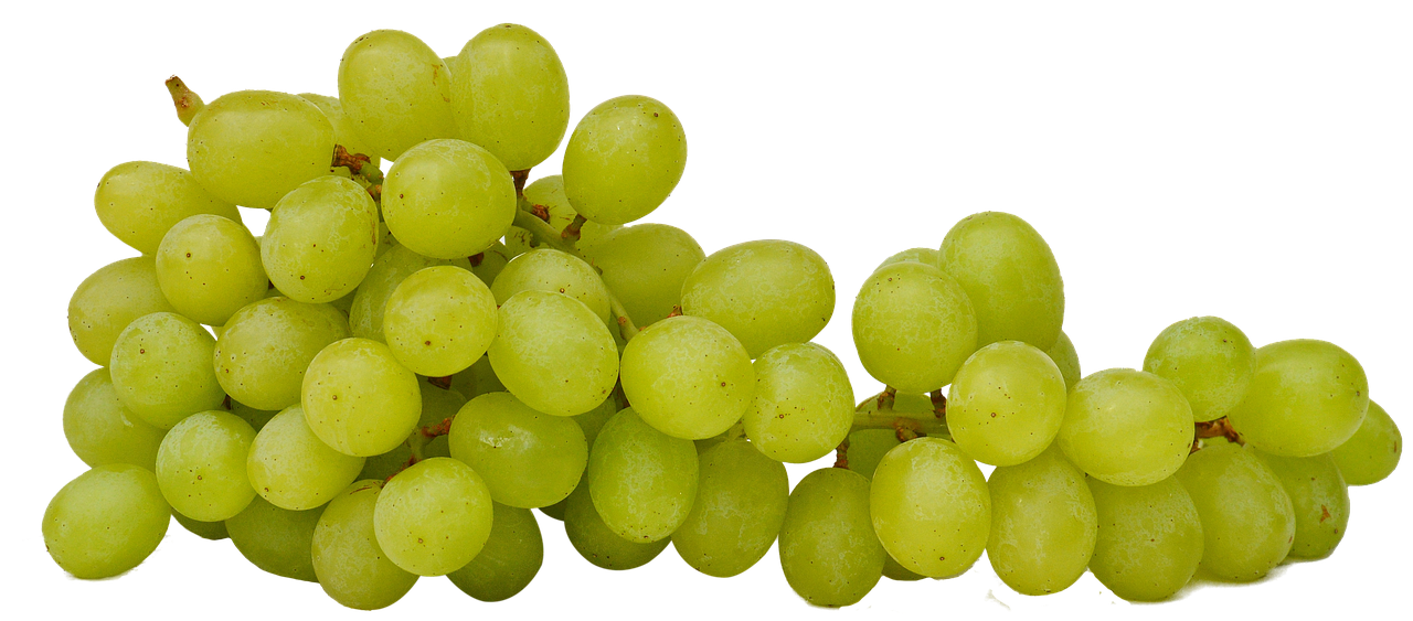 橄榄油可以吃吗?全面解析食用方法、营养功效与选购技巧 橄榄油可以吃吗?全面解析食用方法、营养功效与选购技巧